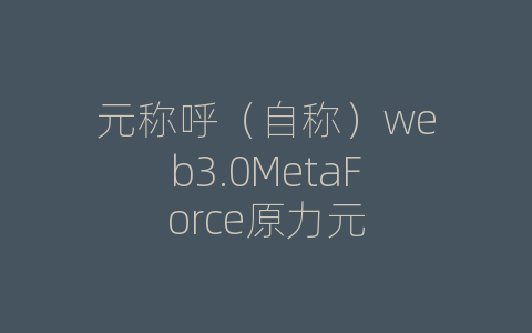 元称呼（自称）web3.0MetaForce原力元