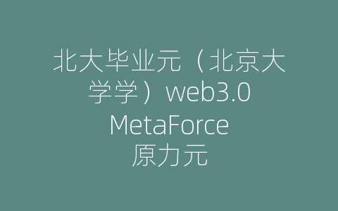 北大毕业元（北京大学学）web3.0MetaForce原力元