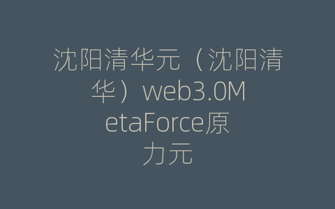 沈阳清华元（沈阳清华）web3.0MetaForce原力元